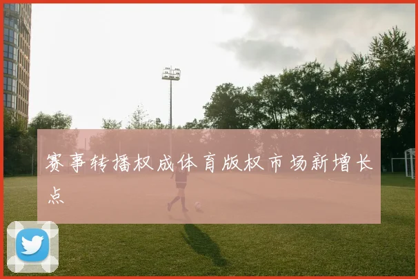 赛事转播权成体育版权市场新增长点