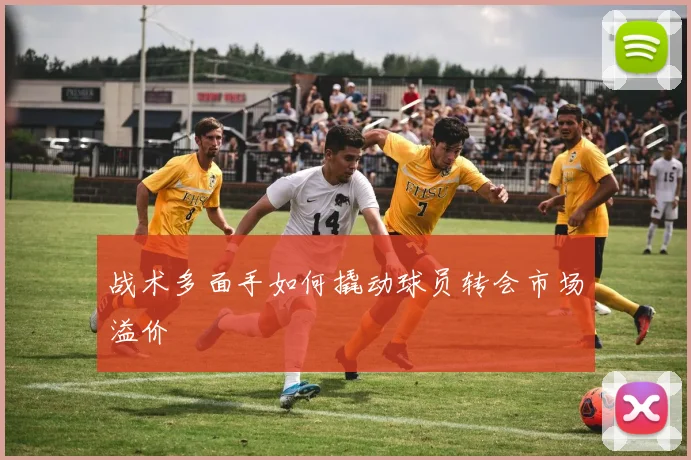 战术多面手如何撬动球员转会市场溢价